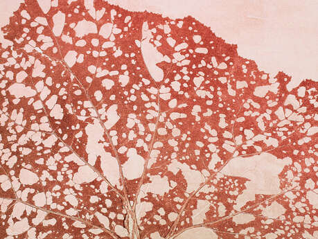 Atelier "Empreintes et monotype"