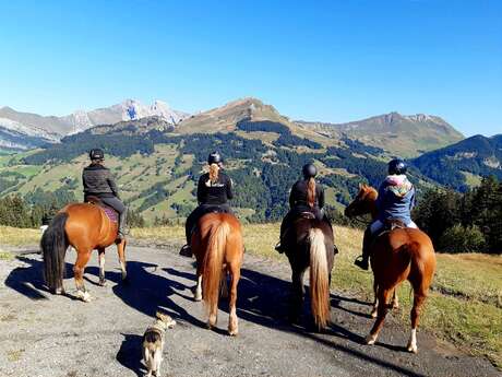 Horse riding