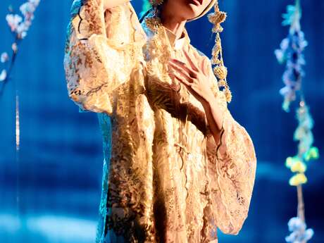 Performance: Vietnamese Score Performance: Vietnamese Score