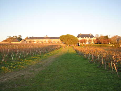 Domaine aux Moines