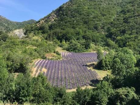 Les Méga Apéros perchés - Youpi Tours