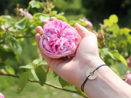 Jardins Rose des Arts