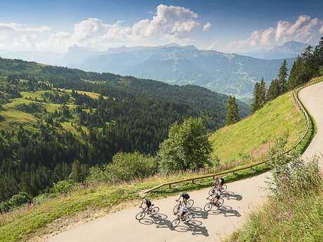 Col de Joux Plane from the north