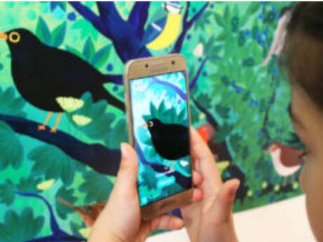 Expo “Observons les oiseaux”