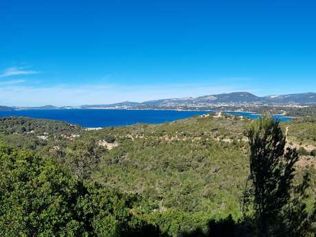 Balade nature avec Emmanuelle Chevalier