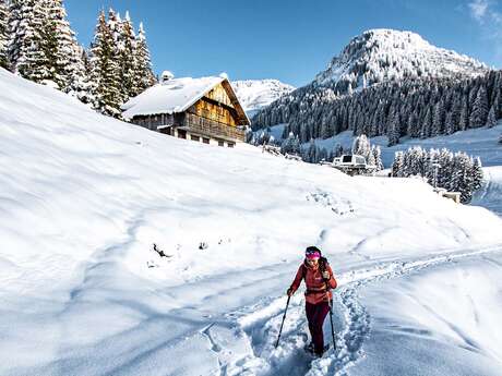 A la rencontre des chamois