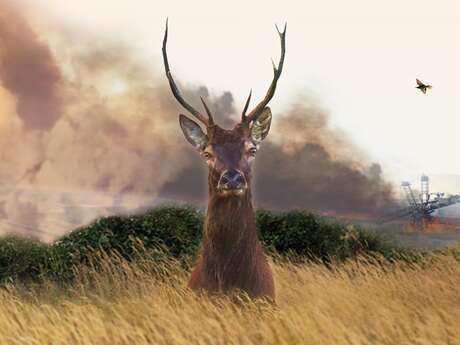 Projection/discussion du documentaire "le VIVANT qui se defend"