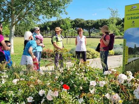 Balade nature "Botanistes en herbe"