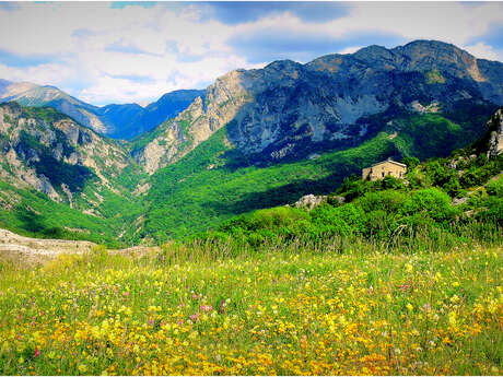 Visite guidée de la chapelle et crypte de Dromon