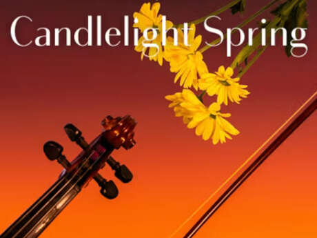 Candlelight Spring : Hommage à Jean-Jacques Goldman