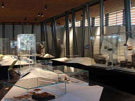 Plonger oui mais comment ?