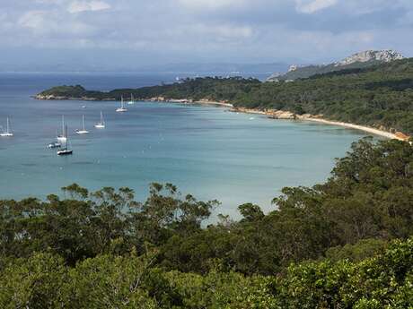 Escale journée sur l'île de Porquerolles - La Croix du Sud