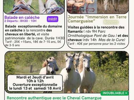 Les évènements d'avril au Mas de la Cure