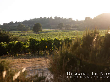 Domaine Le Novi