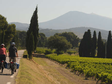 40 - Le Tour du Comtat Venaissin à vélo