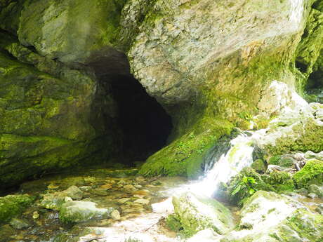 En passant par la Grotte du  Loup