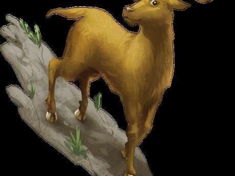 La Cabre d'Or : Découverte du jeu avec des sorties semi-guidées