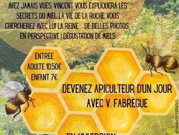 Les abeilles aux Jardins Sothys
