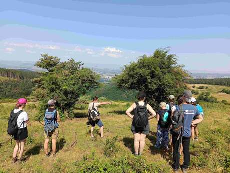 Les rendez-vous nature : Salvaris, un écrin naturel aux portes de Saint-Étienne