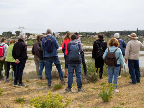 Éco-balade : Découverte des salins de Rassuen