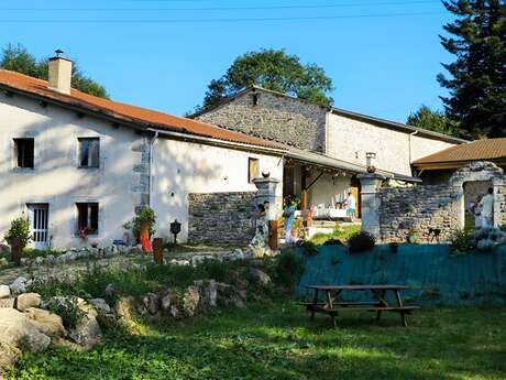 Le Coeur des Sagesses