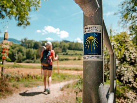Hiking: A little piece of Compostela