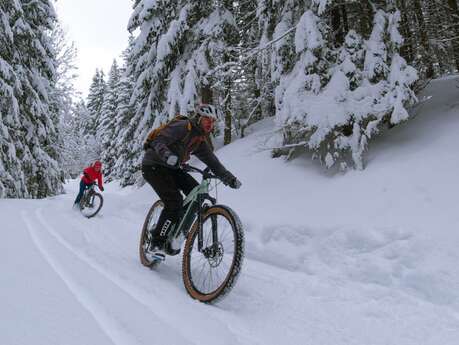 Arav'e Bike - Hiver