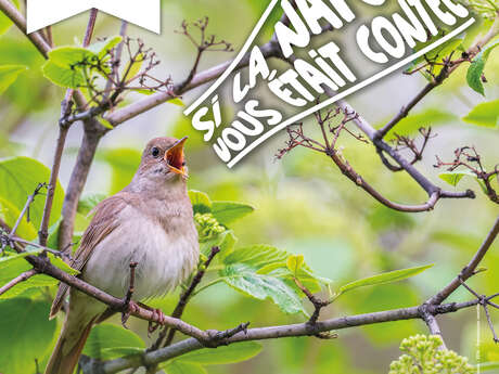 La Parole du Cerisier