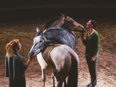 Entre Elles, spectacle équestre