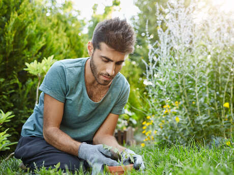Balade thématique sur les plantes sauvages
