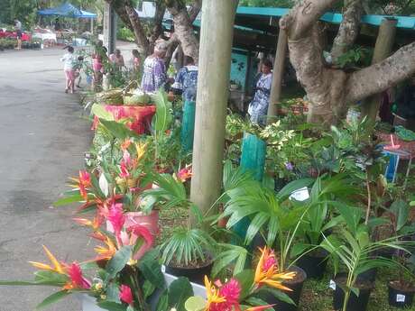 Picnic area at Farino