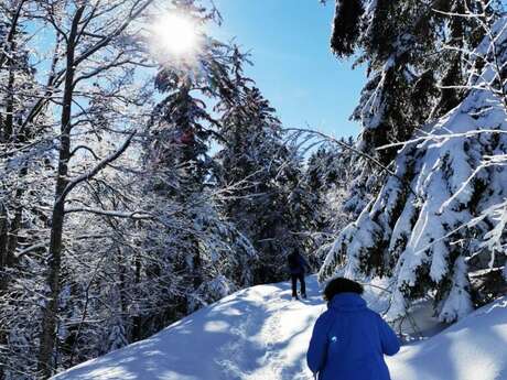 Sortie encadrée en raquettes dans la vallée du Giffre