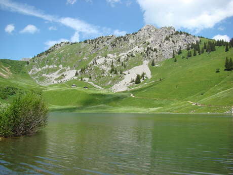 Col d'Arvouin and Lac d'Arvouin from the top of the Panthiaz gondola lift