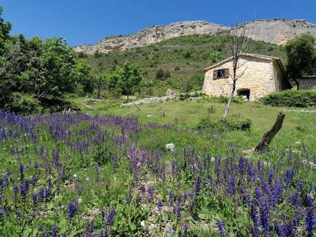 Sous le Pic de Crigne (N°14)