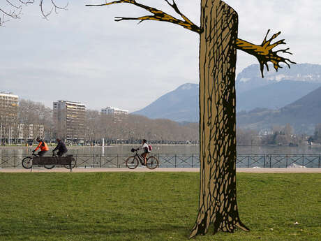 L'arbre pourfendu de Bob Verschueren - Annecy Paysages