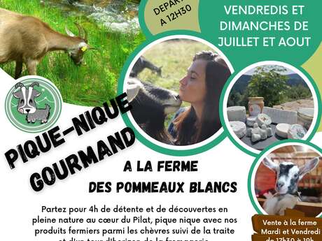 Pique-nique à la Ferme des Pommeaux Blancs