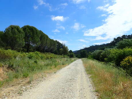 Le Parcours Cyclable du Littoral Varois - V65 / Etape 4 : Fréjus > Montauroux