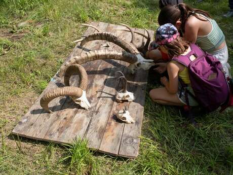 Atelier : les mardis des enfants