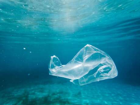 Conférence - La vie de ma mer (sans plastique)