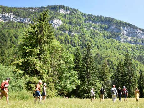 Randonnées accompagnées : niveau intermédiaire à sportif