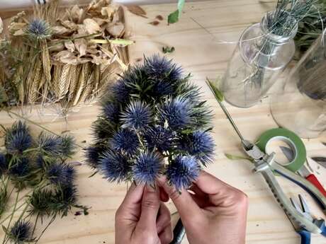 Lili-Clémence Bethemont