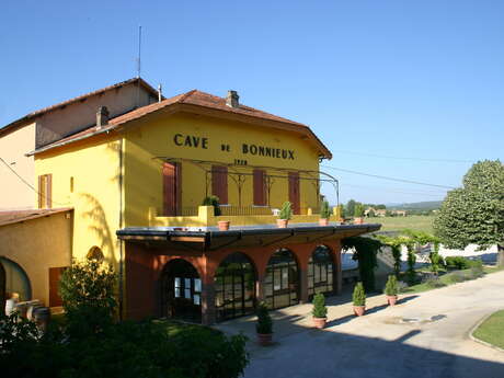 Sunsets Vignerons 2026 à la cave de Bonnieux