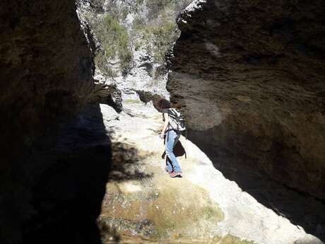 Veroncle, through its depths!