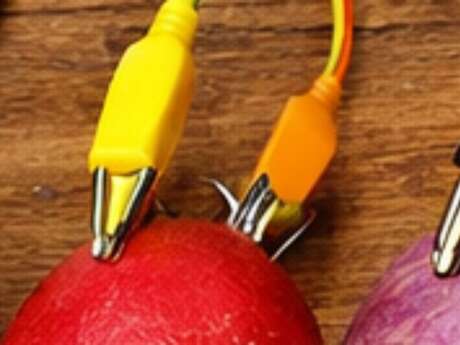 Muséolab - Atelier "Le cri du navet"