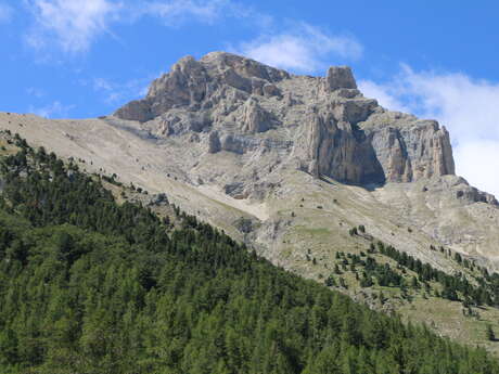 N°17 (vert) - Circuit du Pic et du Chamois