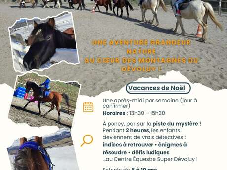 Investigation at the equestrian center