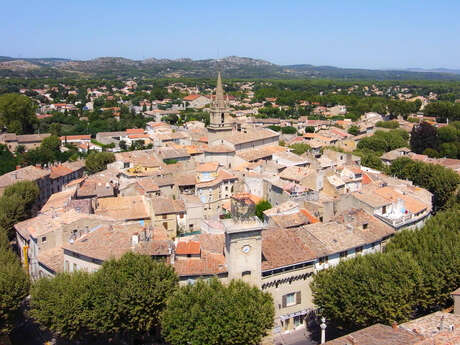 Guided tour of the historic center of Pélissanne