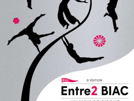 Entre-deux Biennales des Arts du Cirque