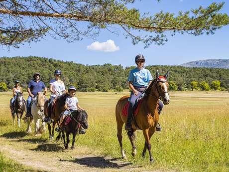 Route Napoléon à cheval : variante La Martre et Châteauvieux