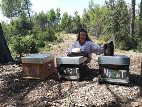 Sortie nature : Découverte d'une ruche